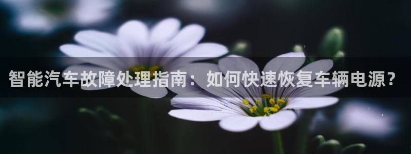 优发国际是真的吗：智能汽车故障处理指南：如何快速恢复车辆电源？
