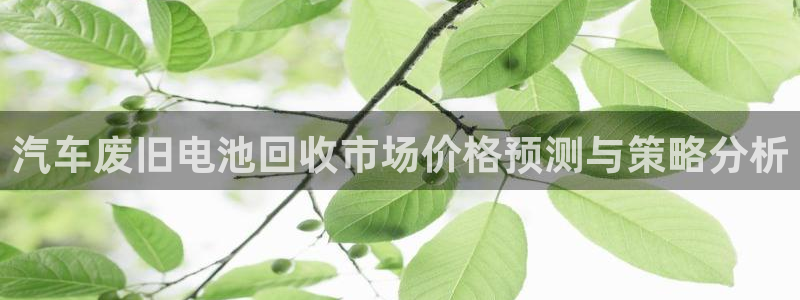 优发国际登录r8：汽车废旧电池回收市场价格预测与策略分析