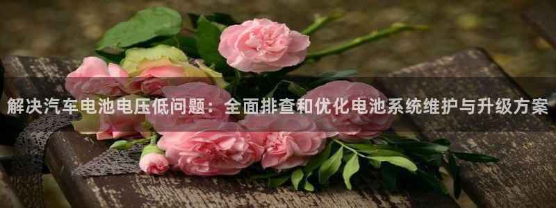 优发国际手机版网站入口：解决汽车电池电压低问题：全面排查和优化电池系统维护与升级方案