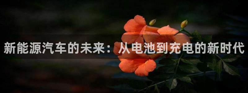 优发国际官网下载安装：新能源汽车的未来：从电池到充电的新时代