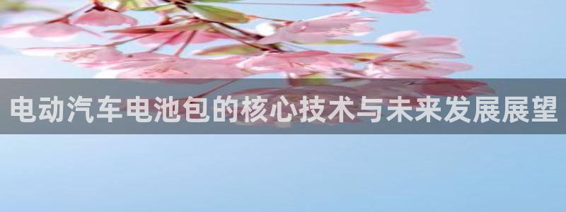优发国际手机客户端怎么下载：电动汽车电池包的核心技术与未来发展展望