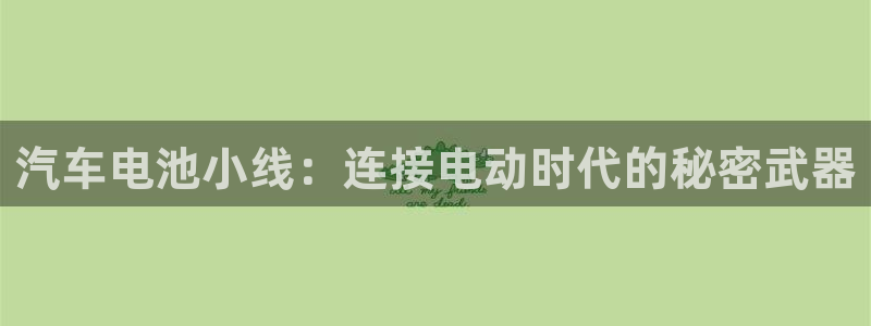 优发国际手机版官网下载：汽车电池小线：连接电动时代的秘密武器
