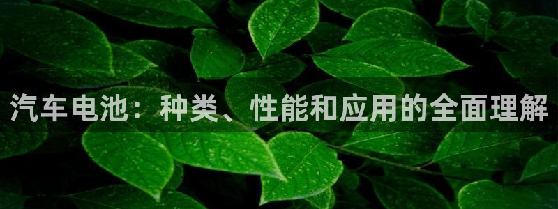 优发国际平台u8是什么公司：汽车电池：种类、性能和应用的全面理解