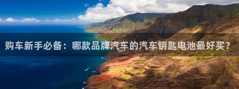 优发国际不出款怎么办：购车新手必备：哪款品牌汽车的汽车钥匙电池最好买？