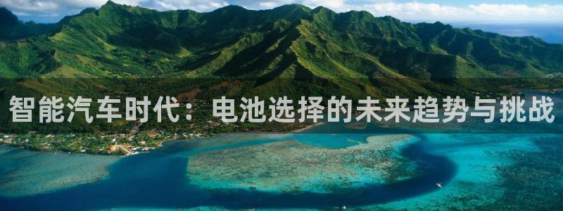 优发国际不出款了吗：智能汽车时代：电池选择的未来趋势与挑战