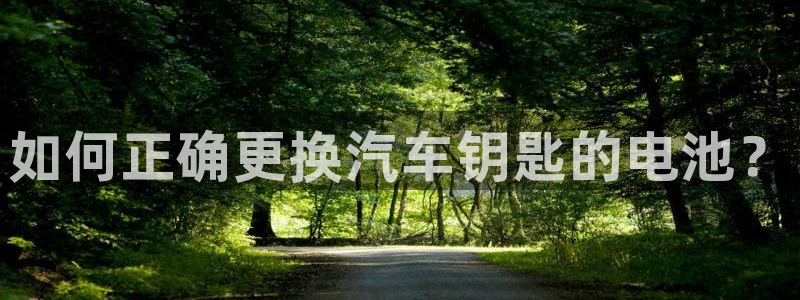 优发国际这个平台怎么样啊：如何正确更换汽车钥匙的电池？