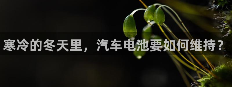 优发国际手机客户端怎么下载：寒冷的冬天里，汽车电池要如何维持？