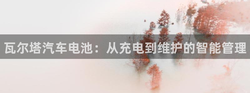 优发国际官网是多少：瓦尔塔汽车电池：从充
