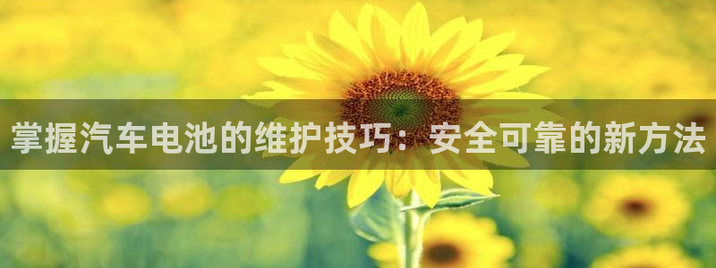 优发国际手机版下载安装：掌握汽车电池的维护技巧：安全可靠的新方法
