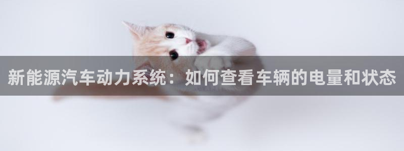 优发国际官网手机版下载苹果：新能源汽车动力系统：如何查看车辆的电量和状态