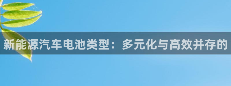 优发国际登录r8：新能源汽车电池类型：多元化与高效并存的