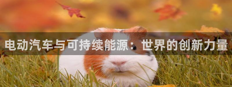 优发国际youfa966：电动汽车与可持