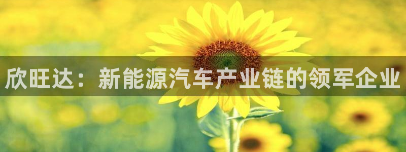 优发国际官网首页入口：欣旺达：新能源汽车产业链的领军企业
