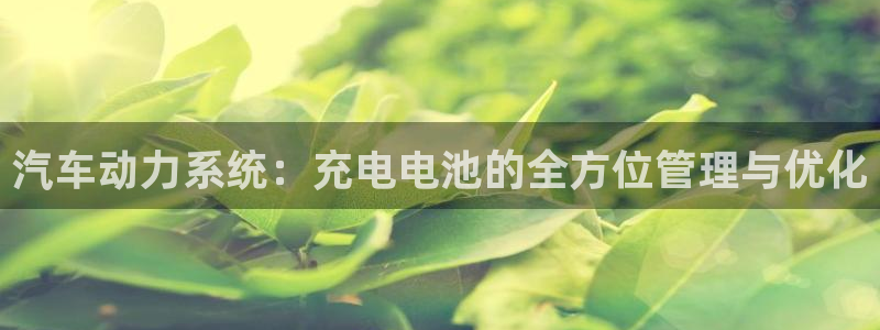 优发国际官网下载安装：汽车动力系统：充电电池的全方位管理与优化