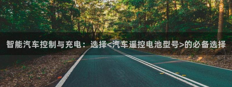 优发国际官网手机版下载苹果：智能汽车控制与充电：选择<汽车遥控电池型号>的必备选择