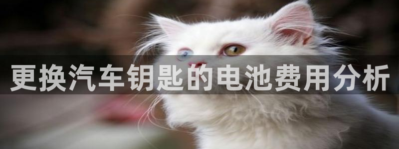 优发国际网站多少：更换汽车钥匙的电池费用分析
