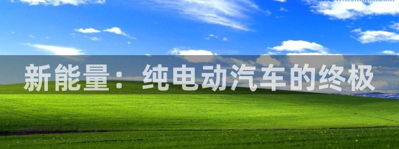 优发国际集团股份有限公司招聘：新能量：纯电动汽车的终极
