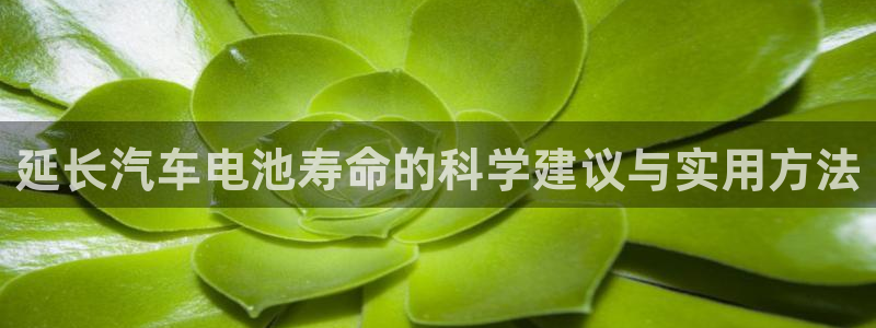 优发国际最新网站下载：延长汽车电池寿命的科学建议与实用方法
