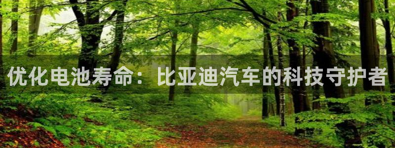 优发国际是大平台吗是真的吗：优化电池寿命：比亚迪汽车的科技守护者