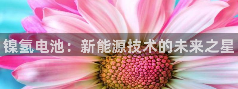 优发国际集团股份有限公司是国企吗