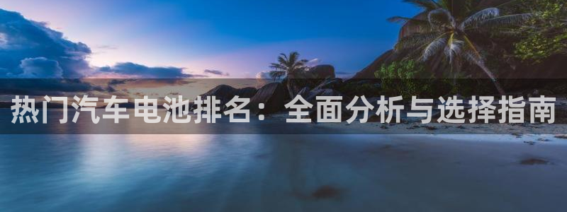 优发国际集团股份有限公司：热门汽车电池排