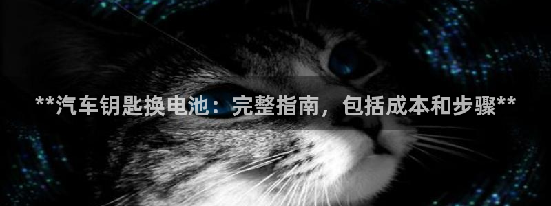 优发国际这个平台怎么样：**汽车钥匙换电池：完整指南，包括成本和步骤**