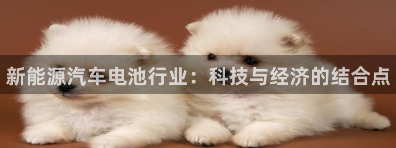 优发国际手机安装登录