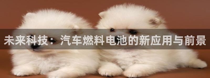 优发国际youfa：未来科技：汽车燃料电
