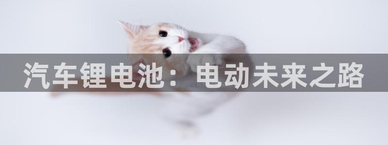 优发国际手机app下载安装苹果：汽车锂电