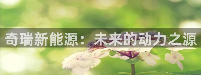 优发国际平台u8怎么样