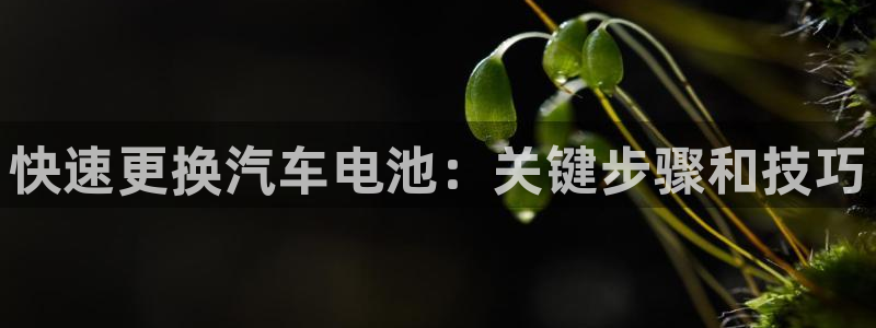 优发国际手机安装登录失败