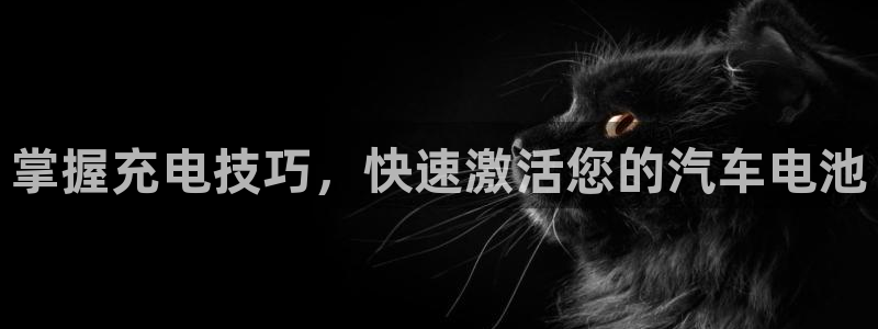 优发国际app官网下载安装