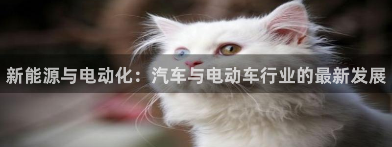 优发国际网官网17w80是什么：新能源与电动化：汽车与电动车行业的最新发展
